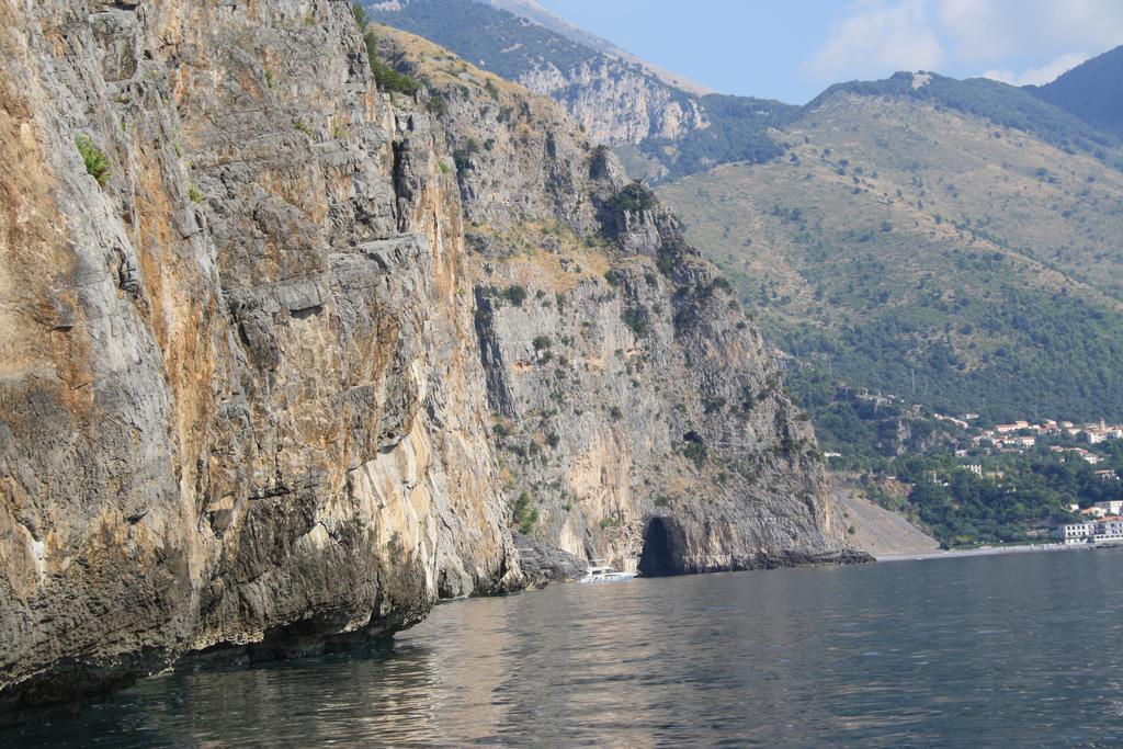 Calandrella Maratea