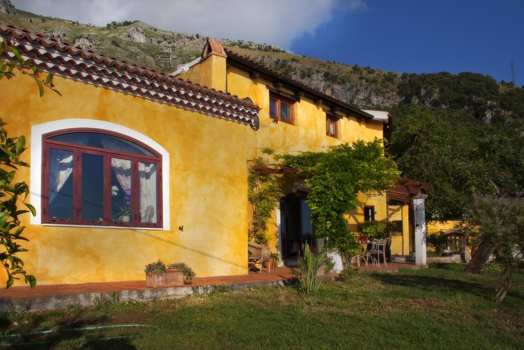 Calandrella